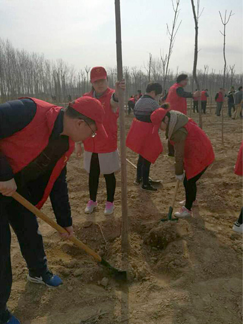 新乡市住房公积金管理中心,植树节