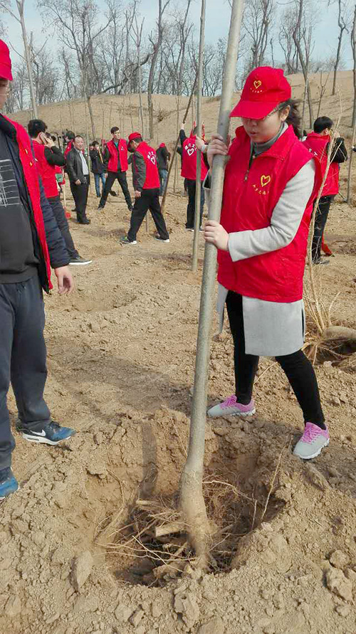 新乡市住房公积金管理中心,植树节