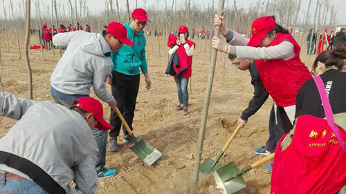 新乡市住房公积金管理中心,植树节